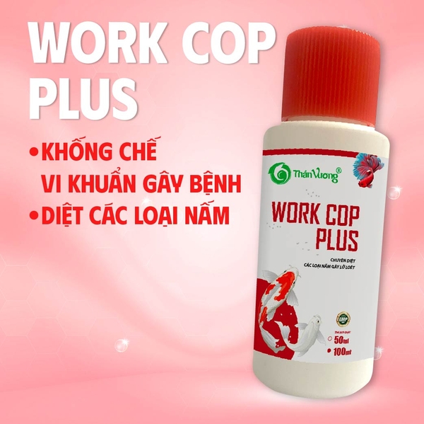 Chuyên diệt các loại nấm gây lở loét trên cá - WORK COP PLUS
