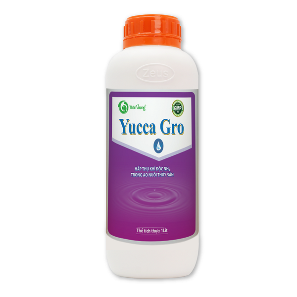 YUCCA GRO - Hấp thụ khí độc NH3 trong ao nuôi thủy sản