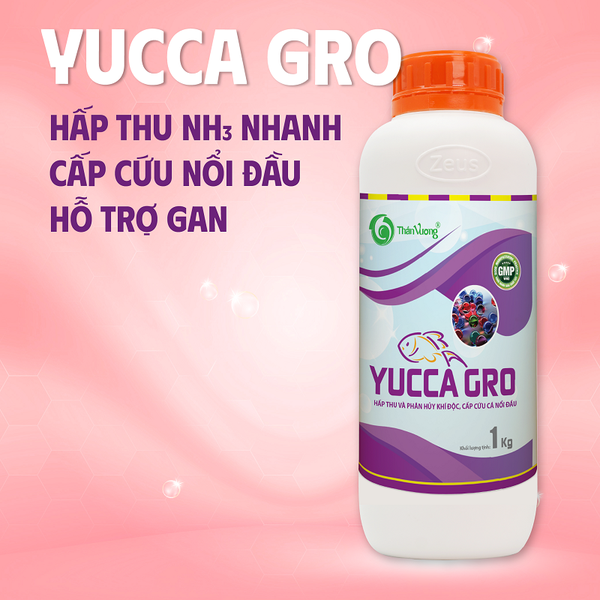 YUCCA GRO - Hấp thụ nhanh khí độc NH3, tránh hiện tượng cá nổi đầu