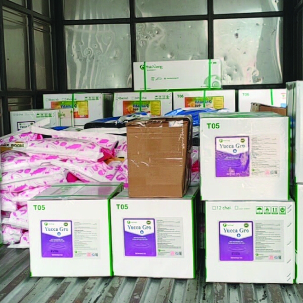 YUCCA GRO - Hấp thụ khí độc ao tôm