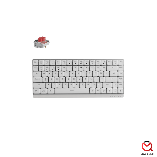 [NEW] Bàn phím EWEADN MK84