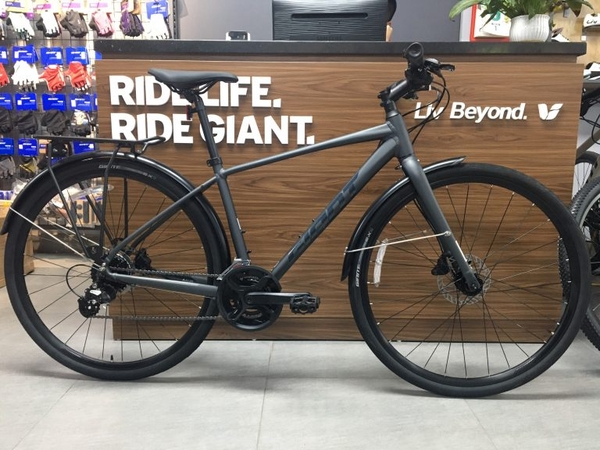 GIANT 2024 ESCAPE 1 CITY
