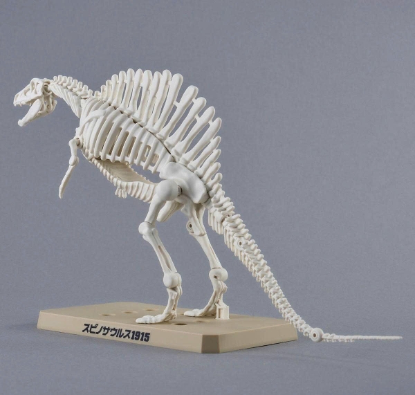 [HÀNG SẴN] BANDAI MÔ HÌNH LẮP RÁP PLANNOSAURUS Spinosaurus 1915