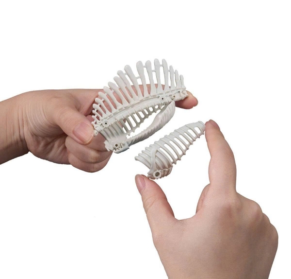 [HÀNG SẴN] BANDAI MÔ HÌNH LẮP RÁP PLANNOSAURUS Spinosaurus 1915