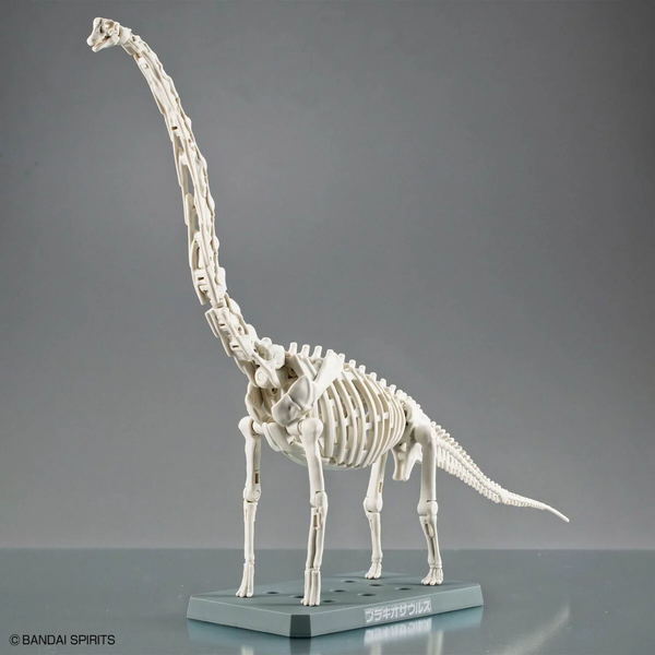 [HÀNG SẴN] BANDAI MÔ HÌNH LẮP RÁP KHỦNG LONG PLANNOSAURUS Brachiosaurus (CÓ KHUNG XƯƠNG)