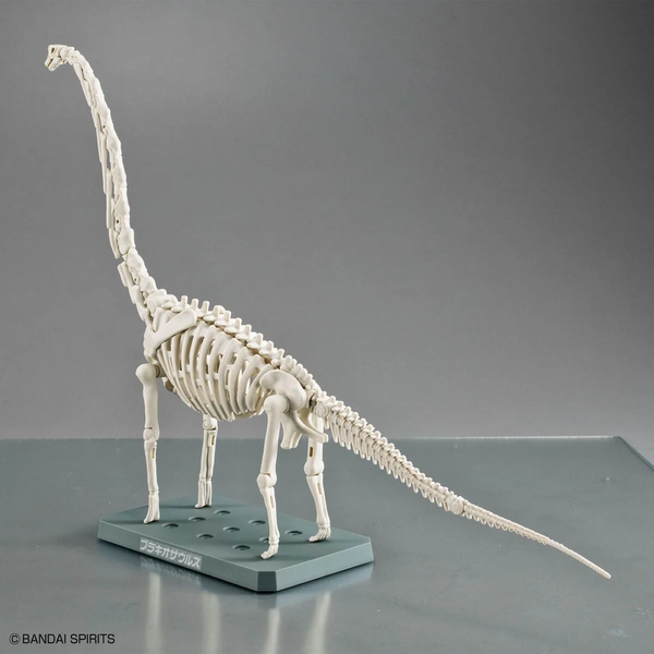[HÀNG SẴN] BANDAI MÔ HÌNH LẮP RÁP KHỦNG LONG PLANNOSAURUS Brachiosaurus (CÓ KHUNG XƯƠNG)