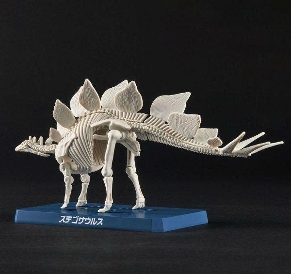[HÀNG SẴN] BANDAI MÔ HÌNH LẮP RÁP New Dinosaur Plastic Model Kit Brand Stegosaurus (Tentative)