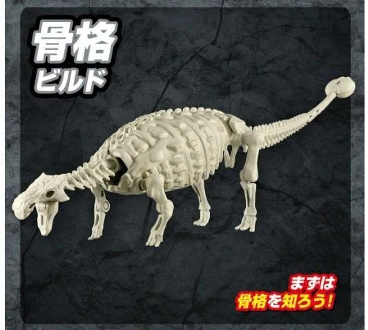 [HÀNG SẴN] BANDAI MÔ HÌNH LẮP RÁP PLANNOSAURUS Ankylosaurus