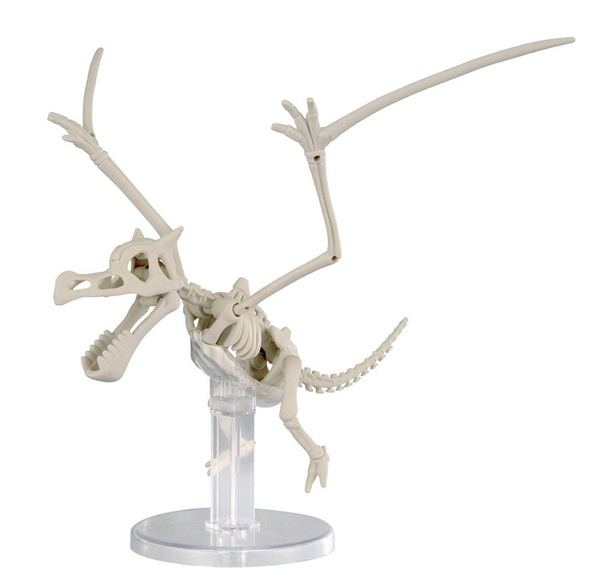 [HÀNG SẴN] BANDAI MÔ HÌNH LẮP RÁP Pokémon PLAMO COLLECTION FOSSIL Pokémon SERIES Aerodactyl