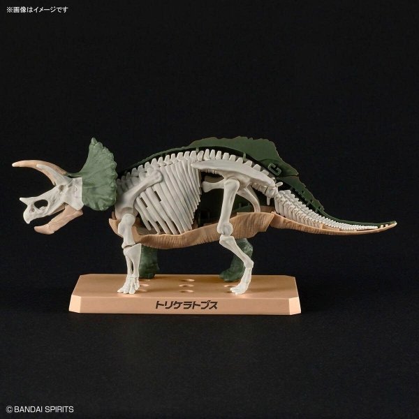 [HÀNG SẴN] BANDAI MÔ HÌNH LẮP RÁP New Dinosaur Plastic Model Kit Brand Triceratops (Tentative) CHÍNH HÃNG