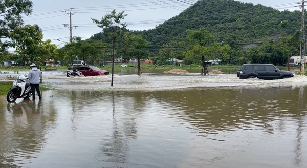 Mưa lớn ở Bình Thuận, hàng trăm héc ta thanh long bị ngập