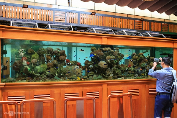 Thú chơi 'đưa đại dương lên cạn'