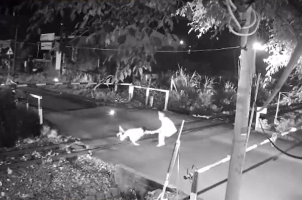 Nhân viên gác chắn cứu người trước mũi tàu hỏa