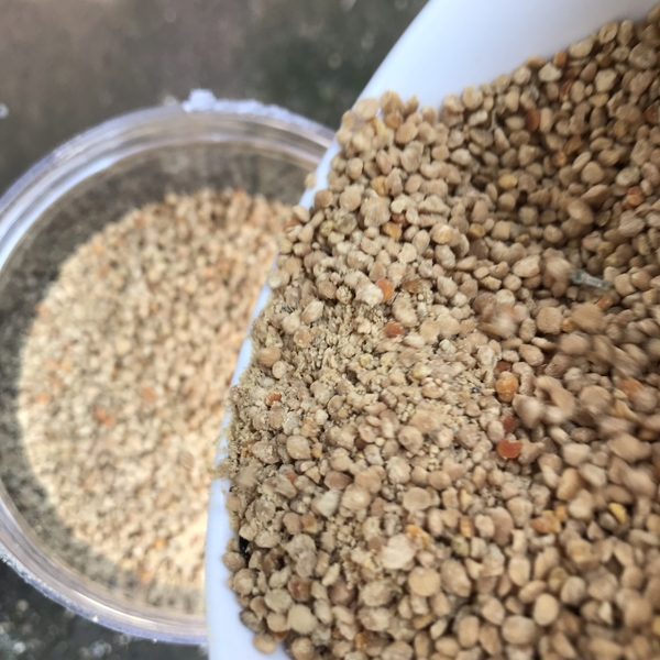 Công Dụng Của Phấn Hoa