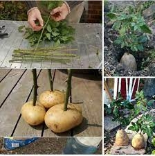 25 mẹo vặt độc đáo, hữu ích ai cũng phải biết một lần trong đời