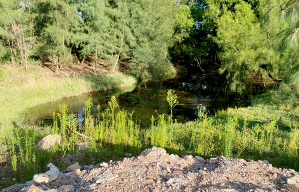 Vũ công bị màn hình rơi trúng khi biểu diễn đối diện nguy cơ liệt tứ chi