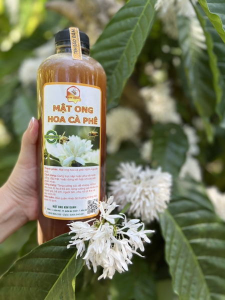 Trồng khoai mài thu tiền tỷ