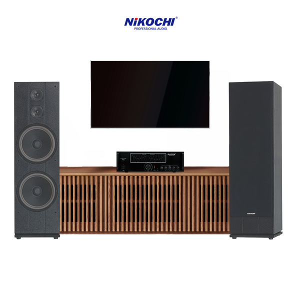 DÀN ÂM THANH CỐ ĐỊNH DN2