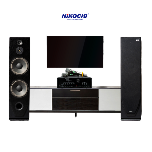 DÀN ÂM THANH CỐ ĐỊNH CD1