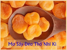 Mơ sấy dẻo nhập khẩu Thổ Nhĩ Kỳ HAFOODVN