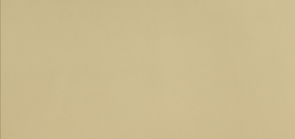 Đá Nhân Tạo Gốc Thạch Anh Vicostone | BS300