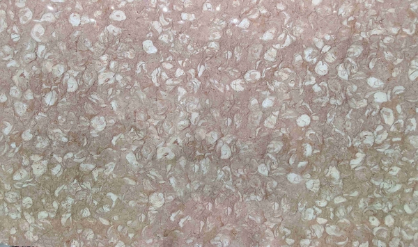 Đá Marble Hồng Sò | Khổ lớn 2.0 cm