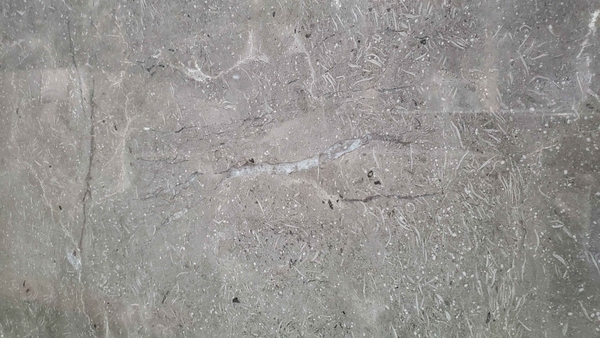 Đá Marble Pertra | Khổ không cố định 1.8 cm