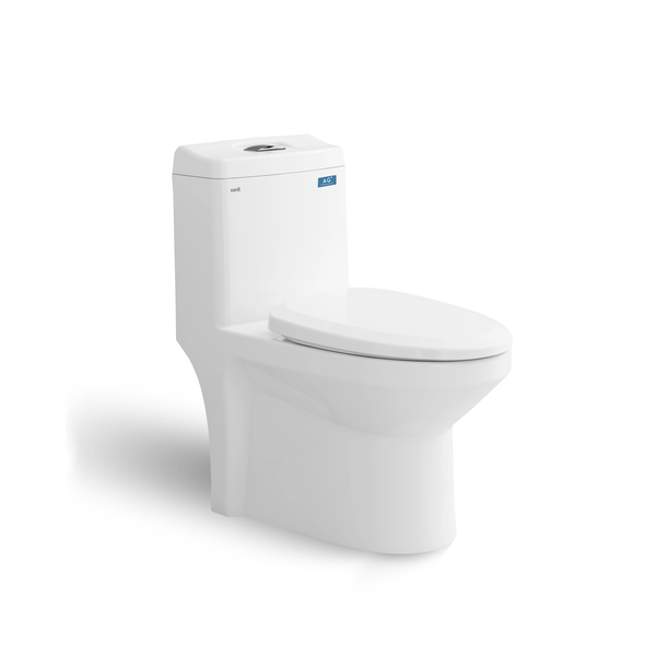 Bàn cầu một khối Sanfi Viglacera S301