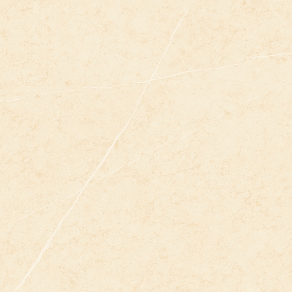 Gạch 600x600 men Bóng Porcelain TTB605A