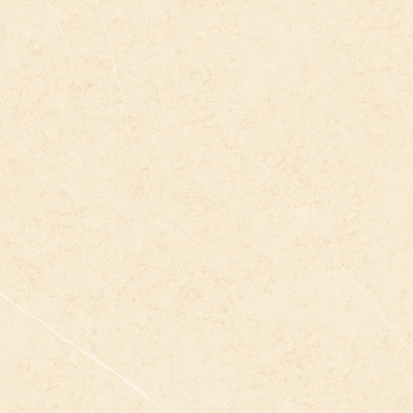 Gạch 600x600 men Bóng Porcelain TTB605A