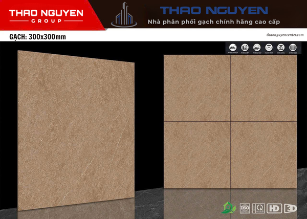 Gạch 30x30 Dacera men Matt Ceramic VC1084