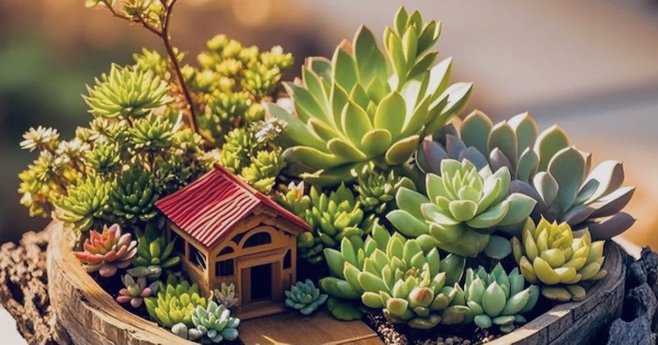 Đặc sản miến, chè Cao Bằng