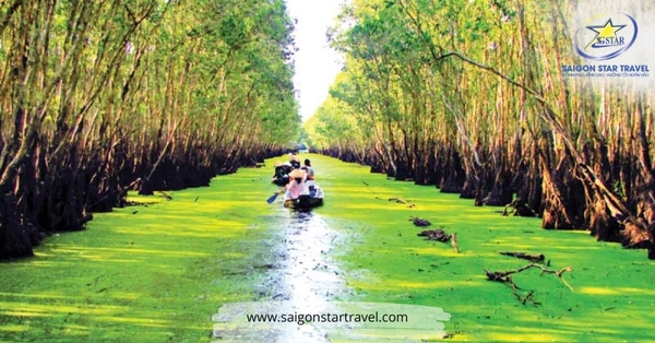 Cẩm Nang Du Lịch Miền Tây A–Z Update Mới Nhất | Kinh Nghiệm Thực Tế Từ Saigon Star Travel