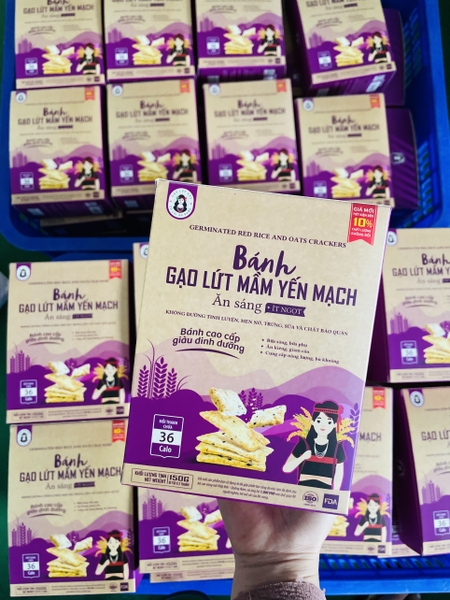 Bánh Gạo Lứt Mầm Yến Mạch BH.Nong Hộp 20 Gói 15g
