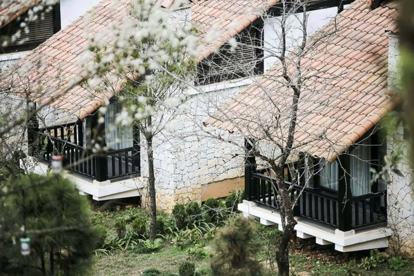 SAPA JADE HILL RESORT & SPA - Thiên Đường Nghỉ Dưỡng Giữa Thung Lung Mường Hoa