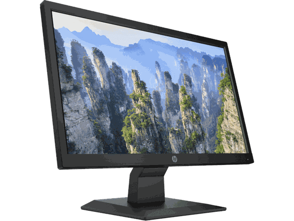 Màn hình HP V20 1H849AA 19.5 inch HD+ TN