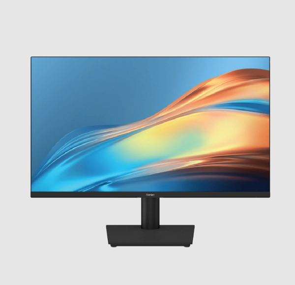 Màn hình Horion 24H01WG 23.8 inch E-LED Fast IPS (DPx1, HDMIx2)