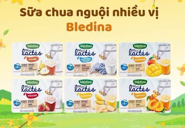Sữa chua nguội bledina (lốc 6)