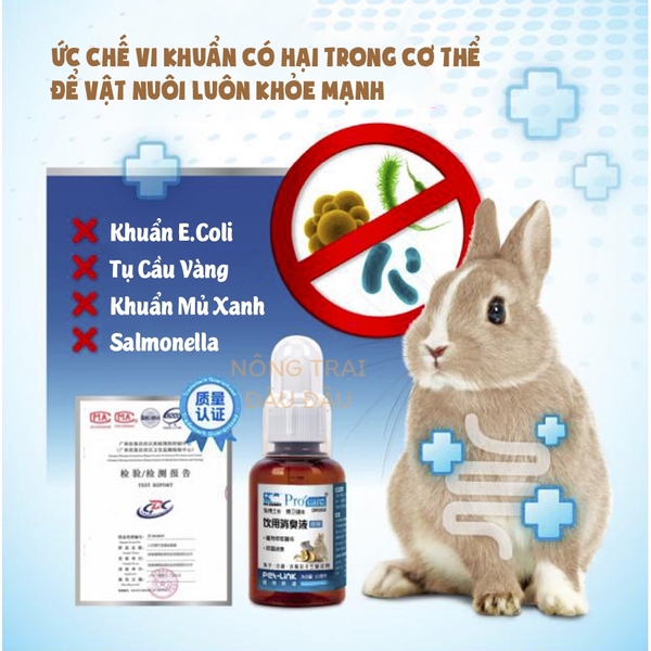 Dung Dịch Uống Khử Mùi Hôi Cho Thỏ, Bọ Ú, Chinchilla, Hamster DRBUNNY 50ml