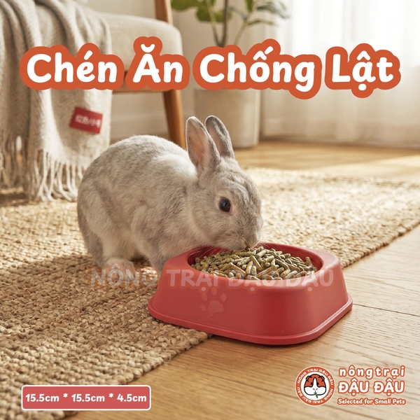 Chén Ăn Chống Lật Cho Thỏ, Bọ Ú, Chinchilla, Chó, Mèo