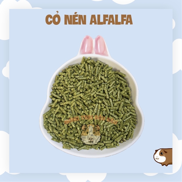 Cỏ Nén Alfalfa 500g