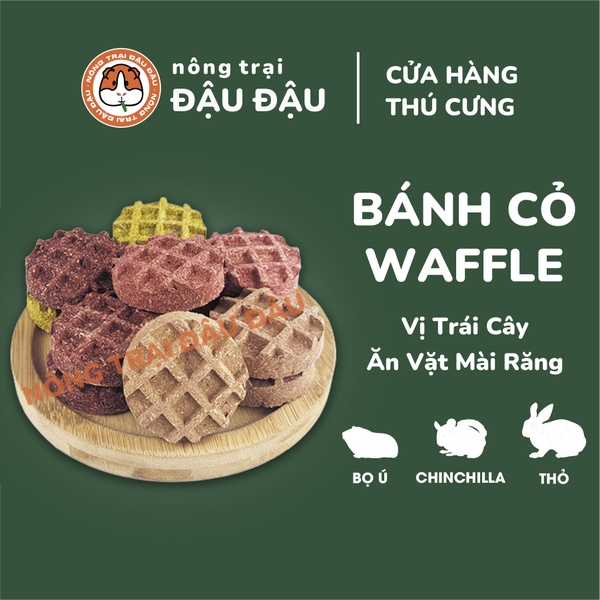 Bánh Cỏ Yến Mạch Waffle Vị Trái Cây Cho Thỏ, Bọ Ú, Chinchilla Ăn Vặt Mài Răng