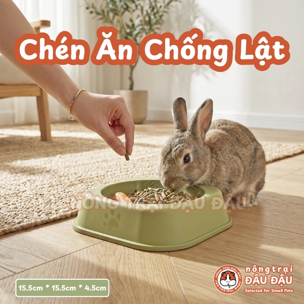 Chén Ăn Chống Lật Cho Thỏ, Bọ Ú, Chinchilla, Chó, Mèo