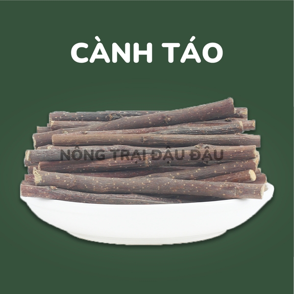 Cành Tre Cành Táo Mài Răng Cho Thỏ, Bọ Ú, Hamster, Chinchilla 50g