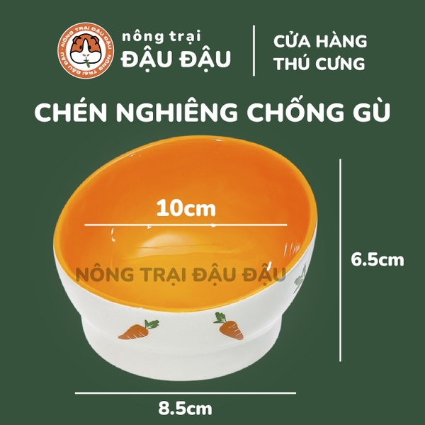Chén Ăn Sứ Cao Cấp Cho Thỏ, Bọ Ú, Chinchilla, Hamster Chống Lật