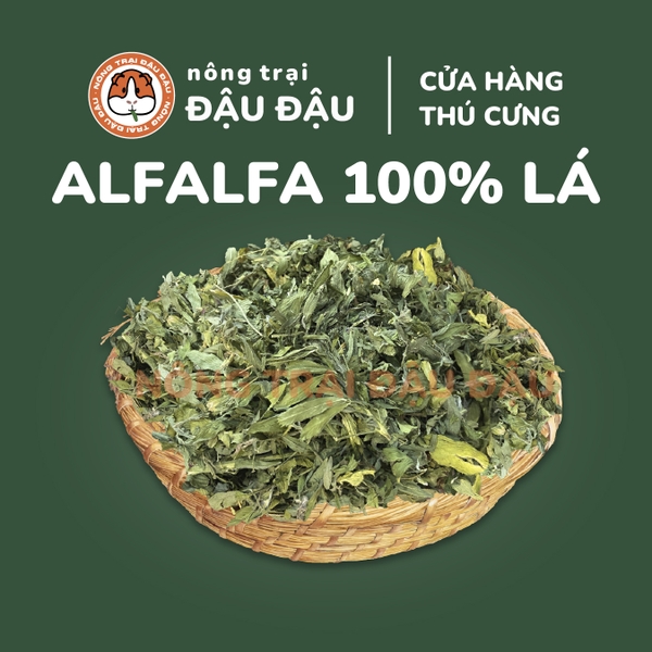 Cỏ Alfalfa 100% Lá Cho Thỏ, Bọ Ú, Chinchilla Không Bụi