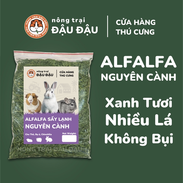 Cỏ Alfalfa Sấy Lạnh - Đậu Đậu Fresh Select