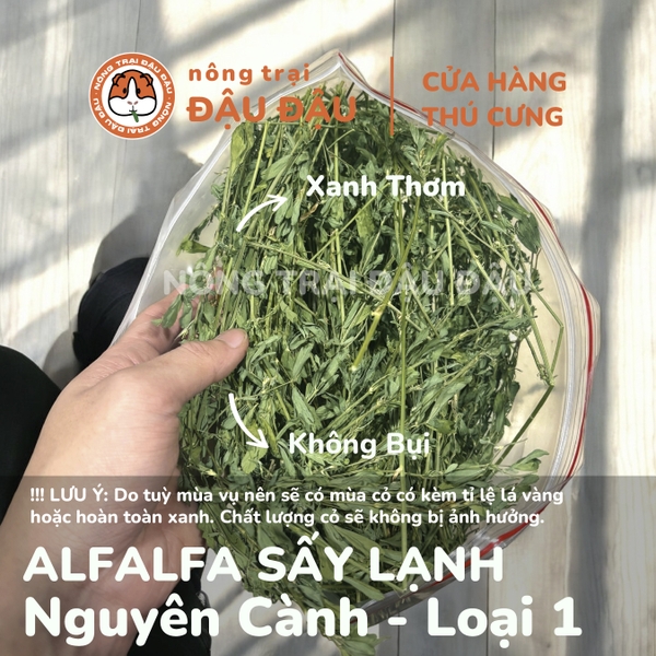 Cỏ Alfalfa Sấy Lạnh - Đậu Đậu Fresh Select