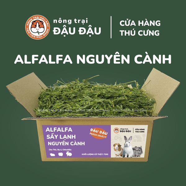 Cỏ Alfalfa Sấy Lạnh - Đậu Đậu Fresh Select