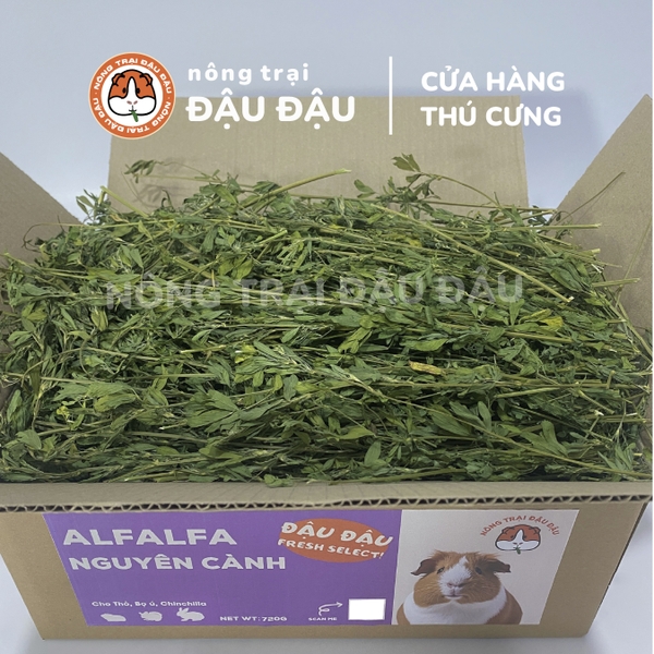 Cỏ Alfalfa Sấy Lạnh - Đậu Đậu Fresh Select